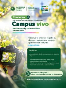 concurso